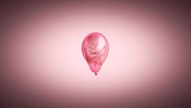 تطور الجنين داخل الرحم