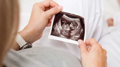 تطور الجنين في الشهر الأول من الحمل